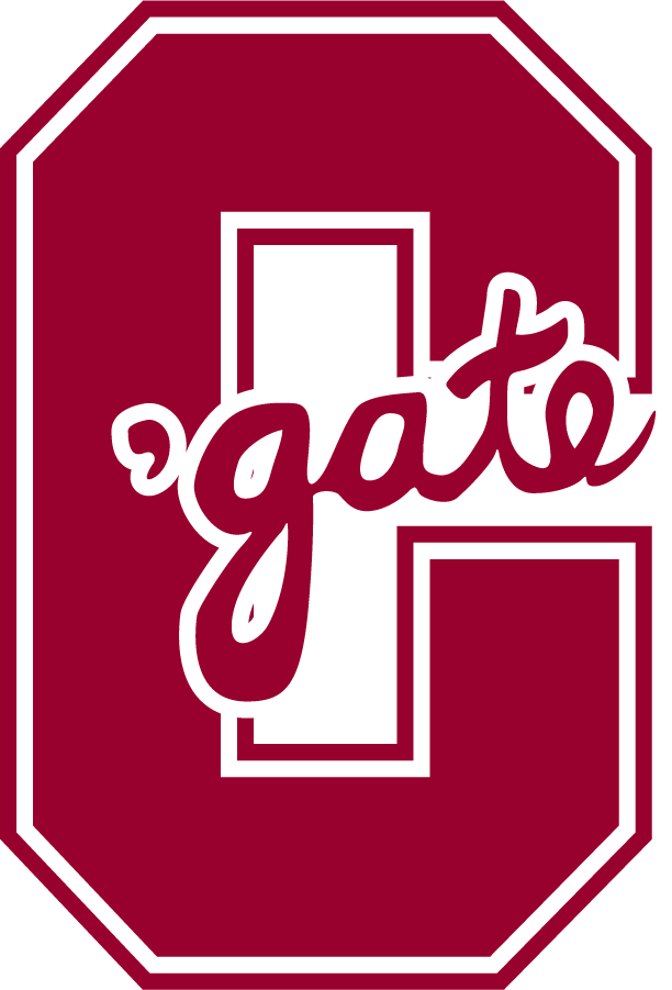 Colgate Raiders 1991-2020 Secondary Logo diy iron on heat transfer